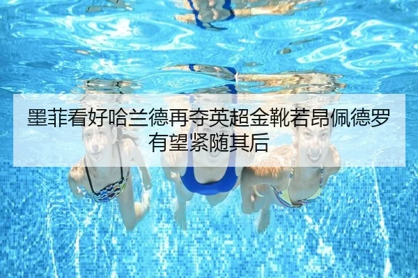墨菲看好哈兰德再夺英超金靴若昂佩德罗有望紧随其后 - Yabo